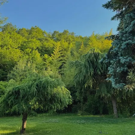 Secret Valley Village Ağva